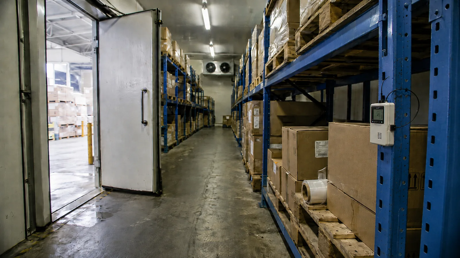 Pharmaceutical cold room with the door open, pallets of boxes and a temperature data logger mounted on the rack, a candidate for periodic requalification.